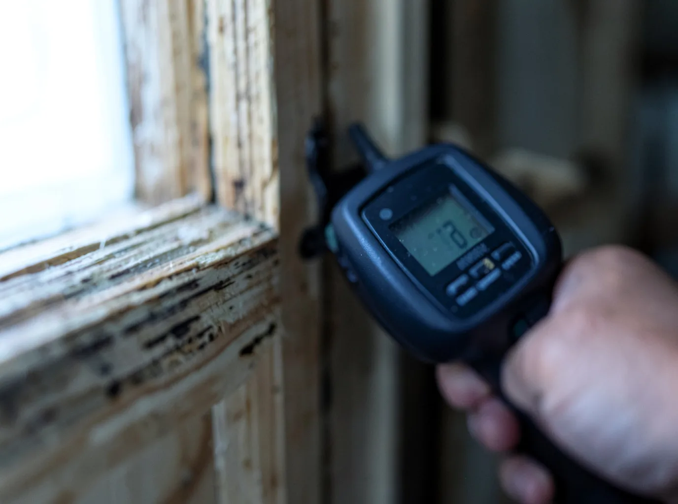 Moisture Inspection And Documentation in Denton, KY